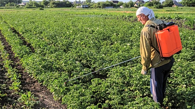 UPL Q2 Results: FY26 EBITDA guidance raised, revenue projection unchanged; Stock recovers