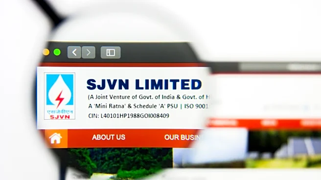 SJVN Q2 Results: Net profit falls 30% to ₹308 crore, revenue flat