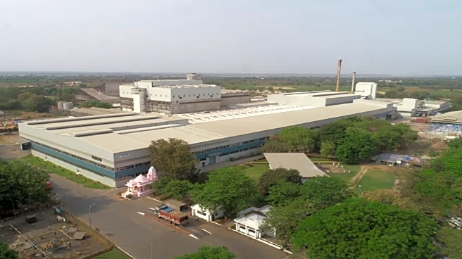 Borosil Renewables Q2 | Profit jumps over 3.5x to ₹45.8 crore; Revenue up 42.5% YoY