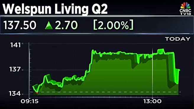 Welspun Living Q2: Net profit, revenue plunge further as US tariff bites into exports