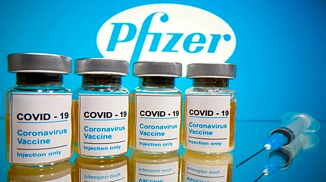 Pfizer Q2 net profit rises 19% YoY; strong growth in sales and margins