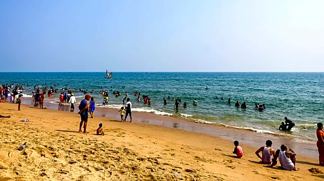 ITDC Q2 Results: Net profit slides 31%, revenue down 18.6%; future focus on digital solutions