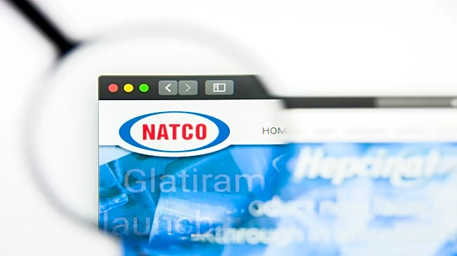 Natco Pharma Q2 Results: Earnings lower than last year on all fronts