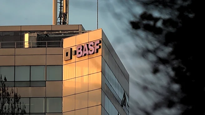BASF India Q2 Results | Net profit drops 16% to ₹107 crore on lower revenue and EBITDA