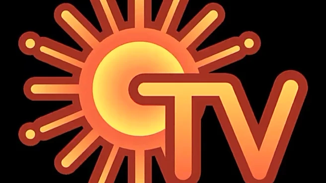 Sun TV Q2 Results: Domestic subscription growth fuels topline, ad revenue falls