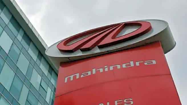 M&M analysts say valuations attractive, 'growth gems' will deliver