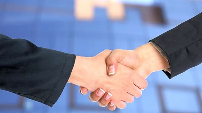 NDL Ventures shares gain after Hinduja Leyland Finance merger; Check entitlement and other details