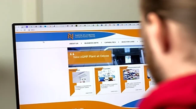 Navin Flourine gets its highest share price target from UBS on strong CDMO, chemicals outlook