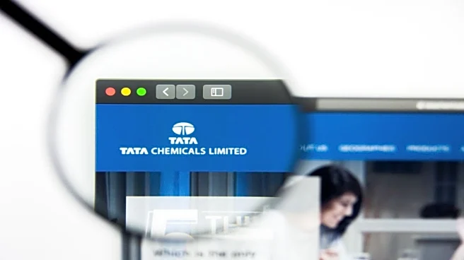 Tata Chemicals arm to buy 100% stake in Singapore-based Novabay for €25 million