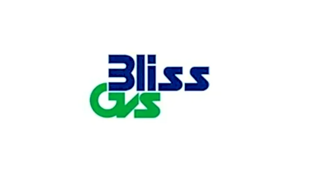 Bliss GVS Pharma board approves appointment of S.N. Kamath as Managing Director