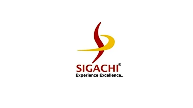 Sigachi Industries MD & CEO remanded in probe into Hyderabad unit fire; company puts interim oversight in place
