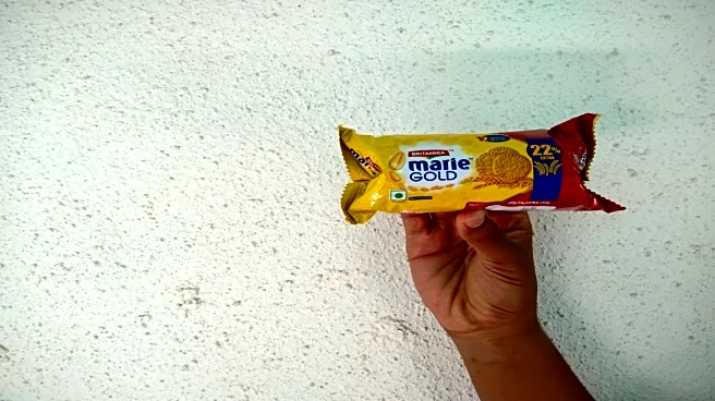 Britannia Industries gets GST order demanding ₹109 crore for FY19–FY24