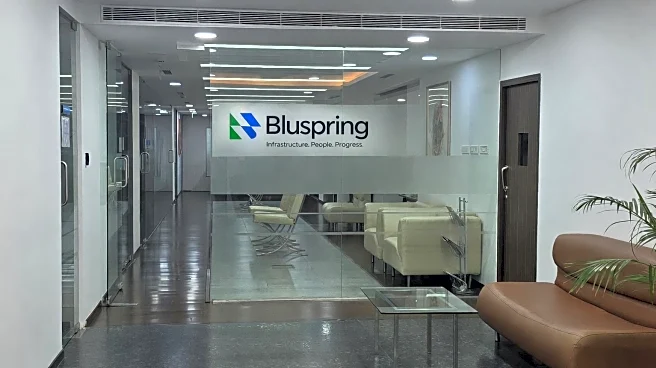 Bluspring targets over 20% annual growth post-demerger, revamps brand identity