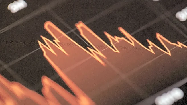 Nifty slips below key levels, analysts see deeper downside risk