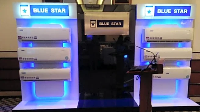 Blue Star shares fall after core UCP business miss in Q3