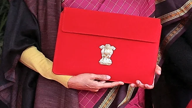 Market falls after Budget 2026: What spooked investors, what next