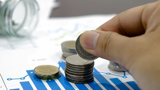 Nava Q3 Results: Revenue up 18% YoY; profit slips on manufacturing costs and tax hit