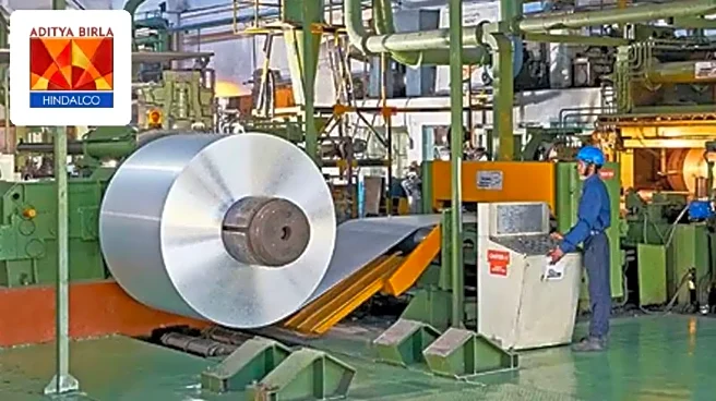 Hindalco Q3 Results: India business shines; Novelis disruption weighs on performance