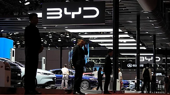 BYD shares plummet as profit-slip hints at further downturn
