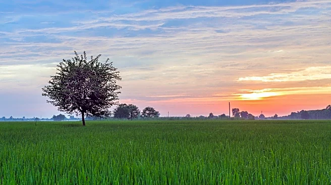 AWL Agri Q3: Edible oil demand leads double-digit volume growth