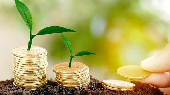 India markets may deliver double-digit returns on better valuations; earnings revival key: BofA