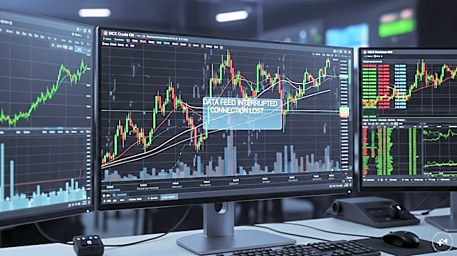 Zerodha flags MCX glitch, warns of commodity trading disruptions