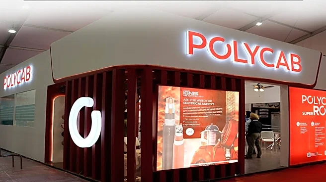 Polycab Q4 Results: Earnings beat led by 47% growth in FMEG business; Dividend declared