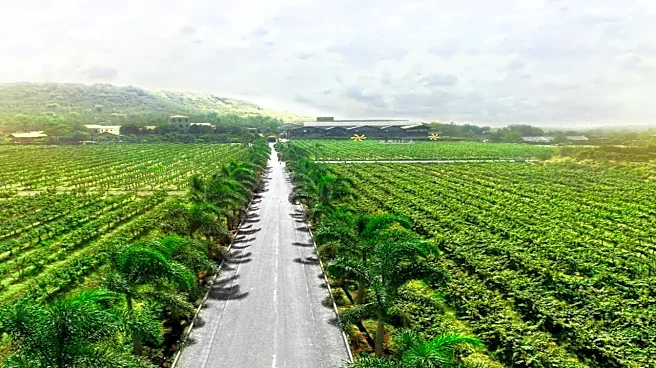 Sula Vineyards Q4 profit falls 34% to despite record wine tourism revenue; declares dividend