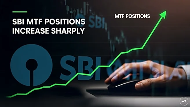 SBI shares fell 7% on the day of its results but its leveraged positions nearly doubled