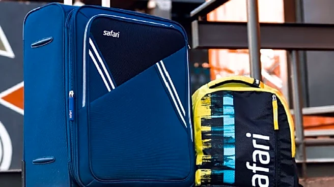 Safari Industries Q4 Results: Shares erase gains as margin pressure offsets topline growth