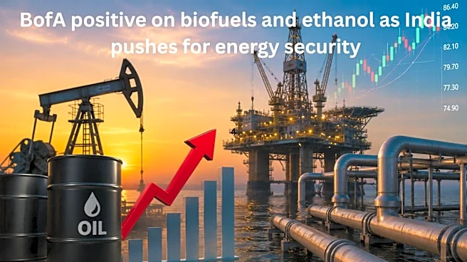 BofA prefers oil producers over refiners as crude prices stay elevated