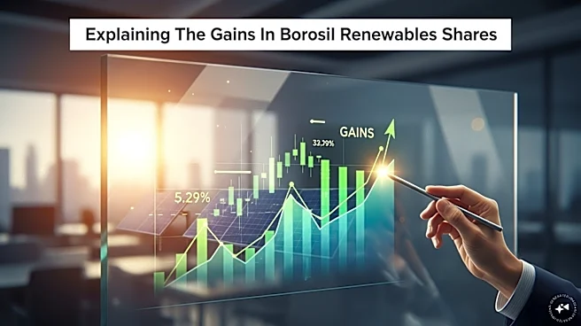 Explained - The key trigger behind Borosil Renewables share price surge on Wednesday