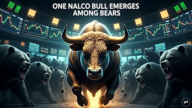 Most analysts tracking this Metal stock are bearish, but the one 'bull' sees 28% upside