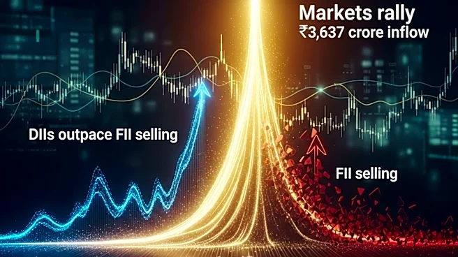 Domestic investors cushion FII outflows amid strong market rally on June 24