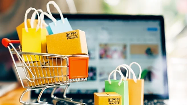 Amazon, Flipkart entry won't disrupt quick commerce profitability: Elara Capital