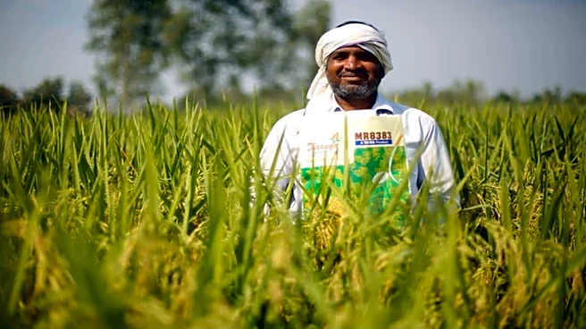 Rallis India Q1 profit rises 32% as margins improve on broad-based growth