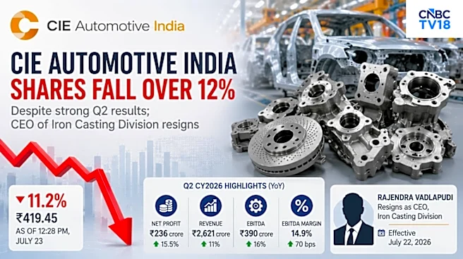 CIE Automotive India shares plunge 12%, most since March 2020 despite strong Q2; Here's why