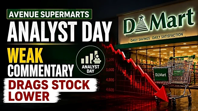Explained - What Avenue Supermarts said on the analyst call that led to the stock tanking 6%