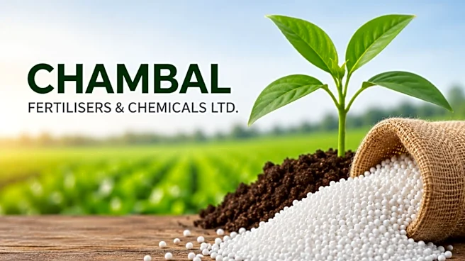 Chambal Fertilisers Q1 profit slips as revenue falls, but margins improve sharply