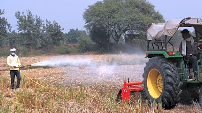Dhanuka Agritech Q1 Results: Agrochem firm's profit falls 35%; bets ₹200 crore on new plant