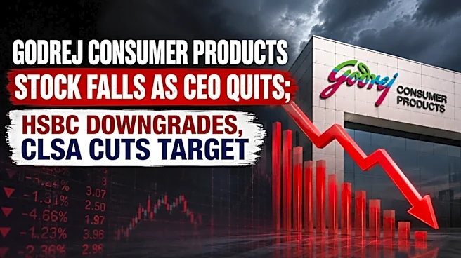 Stock Crash: GCPL shares tank 10% after CEO quits, HSBC downgrades