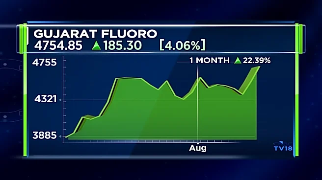 Gujarat Fluorochemicals: Key concall takeaways and analyst views