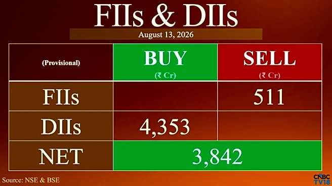 FIIs sell Indian shares for second day, DIIs step up buying to ₹4,353 crore