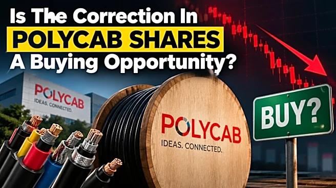 Polycab valuations correcting to these levels will be a buying opportunity, JPMorgan says
