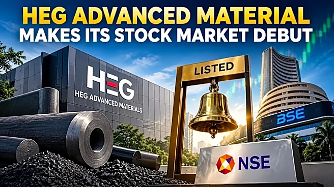 HEG Advanced Material shares see discovered price of ₹260 on the bourses; Here's what you need to know