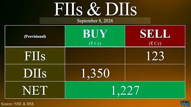 DIIs more than double equity buying to ₹1,350 crore as markets slide