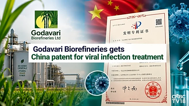 Godavari Biorefineries shares surge 13% after China grants patent for viral infection treatment