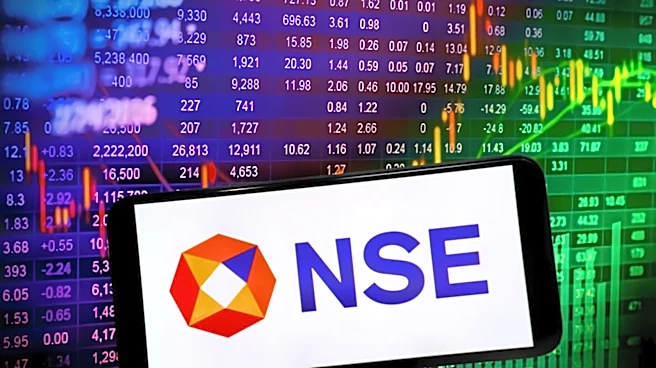 NSE IPO: The business, the moat and the competition