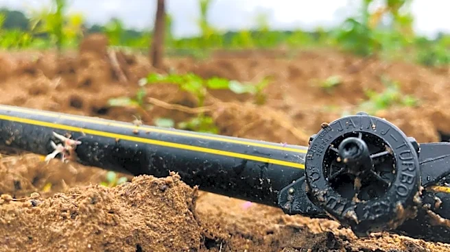 Jain Irrigation shares rally after ₹118 crore Maharashtra solar pump order