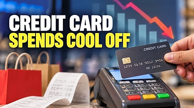 Credit card transaction volumes rise, but lower ticket sizes drag August spending